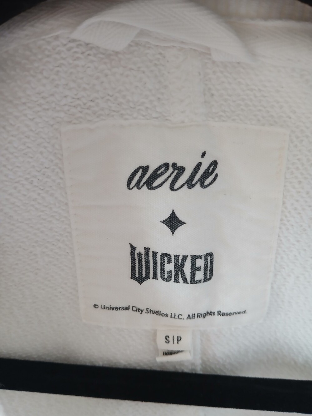 AERIE x WICKED “Pink Goes Good With Green” OVERSIZED Graphic SWEATSHIRT Size S M - Picture 4 of 7